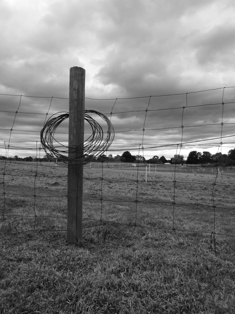 Devon Meadows, winter 2023